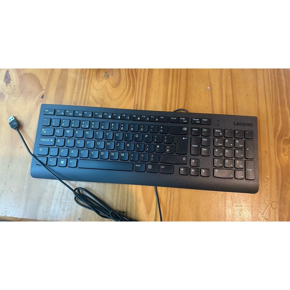NEW Lenovo USB Wired Keyboard Black Quiet